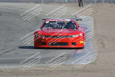 media/Nov-11-2023-GTA Finals Buttonwillow (Sat) [[117180e161]]/Group 1/Cotton Corners/